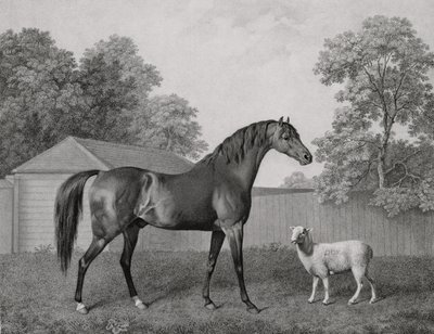 Dungannon, gegraveerd door George Townley Stubbs (1756-1815) uitgegeven 1794 door George Stubbs